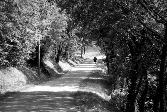 Celui qui suit la foule…