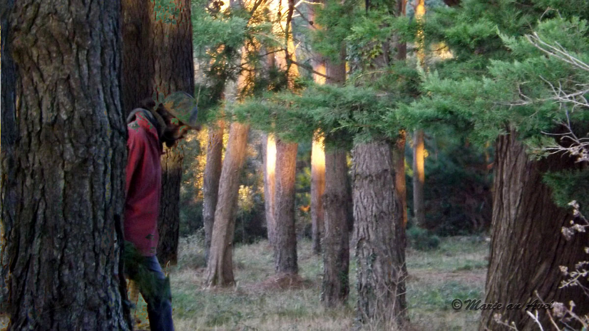 Il vit dans deux mondes