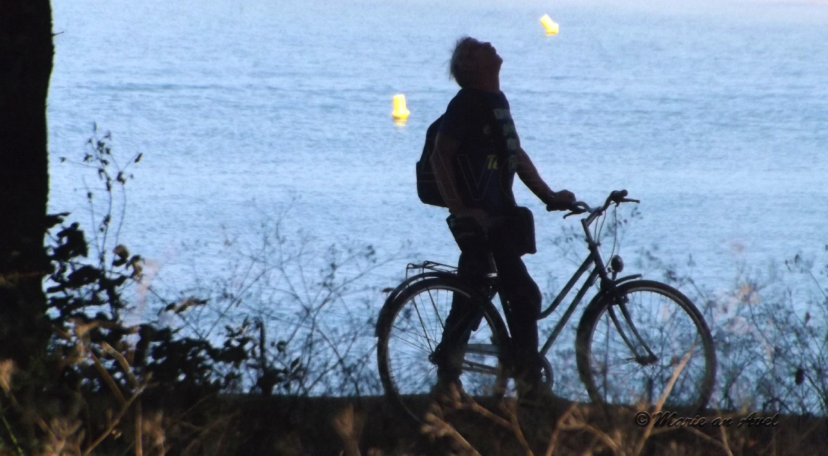 Rester du côté du soleil