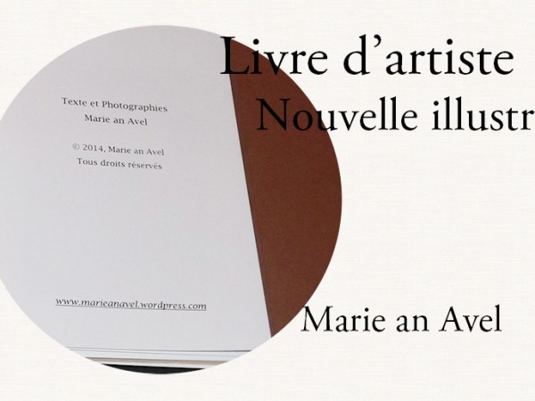 Livre d&rsquo;artiste : La lumière&nbsp;égarée