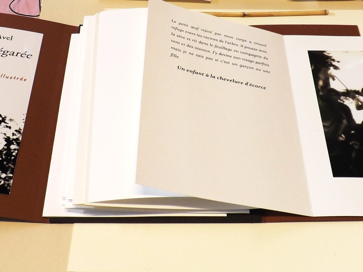 Le livre d&rsquo;artiste