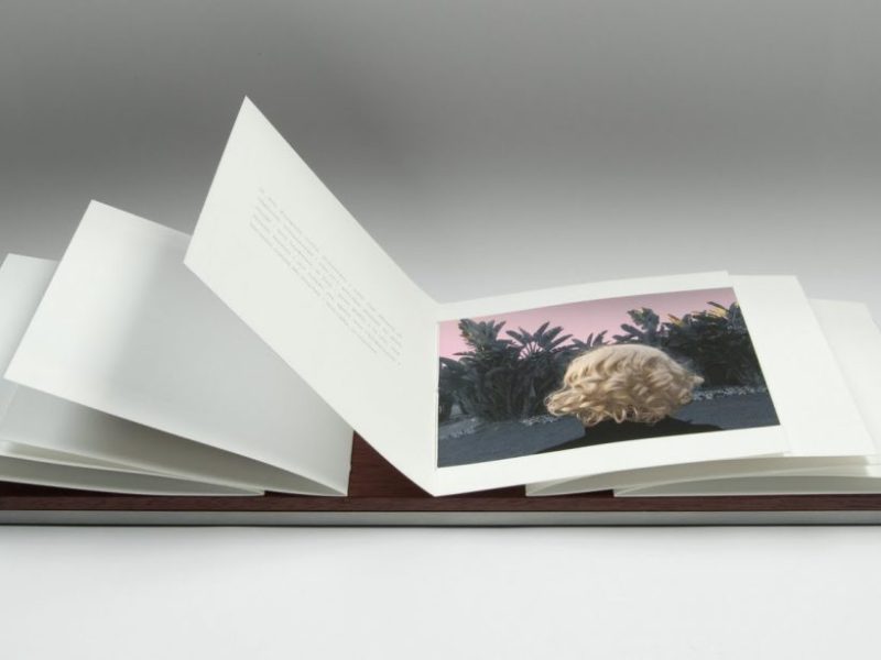 Le Livre d&rsquo;artiste&nbsp;?