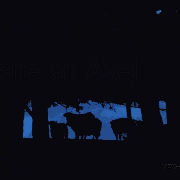 Tu ne feras pas souffrir les&nbsp;animaux