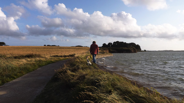 Les rêveries du promeneur&nbsp;solitaire