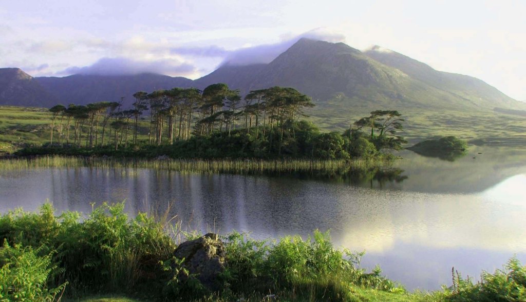 Nous voulons encore essayer de sauver la&nbsp;Terre