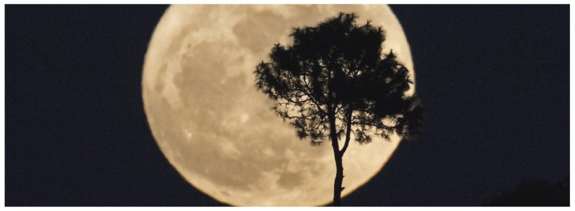 Sous le ciel vagabond