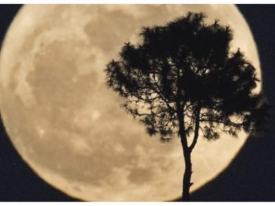 Sous le ciel&nbsp;vagabond