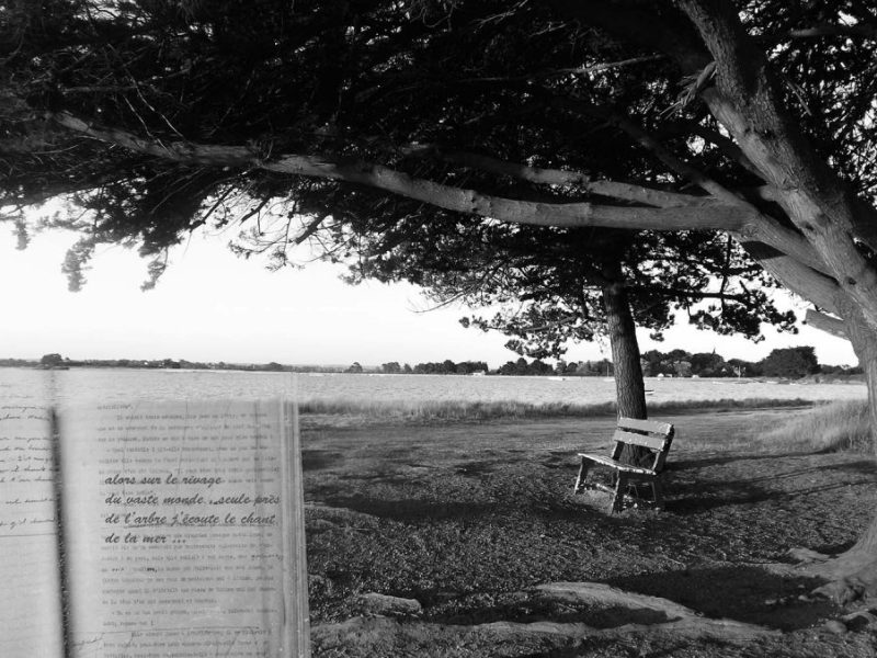 Il est la forme la plus inexorable de notre&nbsp;destin…