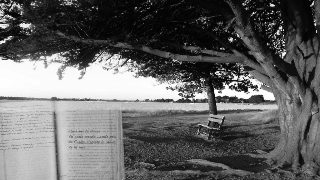 Il est la forme la plus inexorable de notre&nbsp;destin…