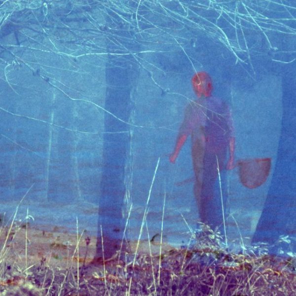 Le peuple des&nbsp;algues