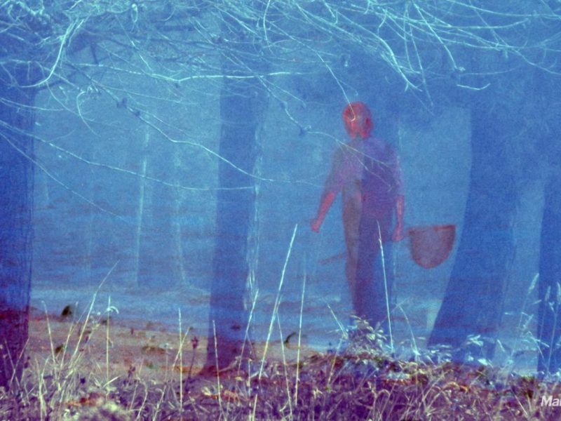 Le peuple des&nbsp;algues