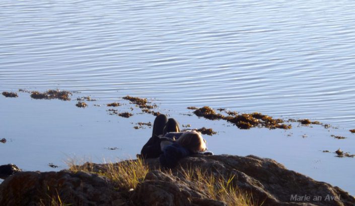 Le flux et le reflux