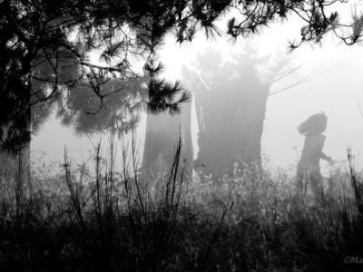 Une promenade sur l&rsquo;île&nbsp;?