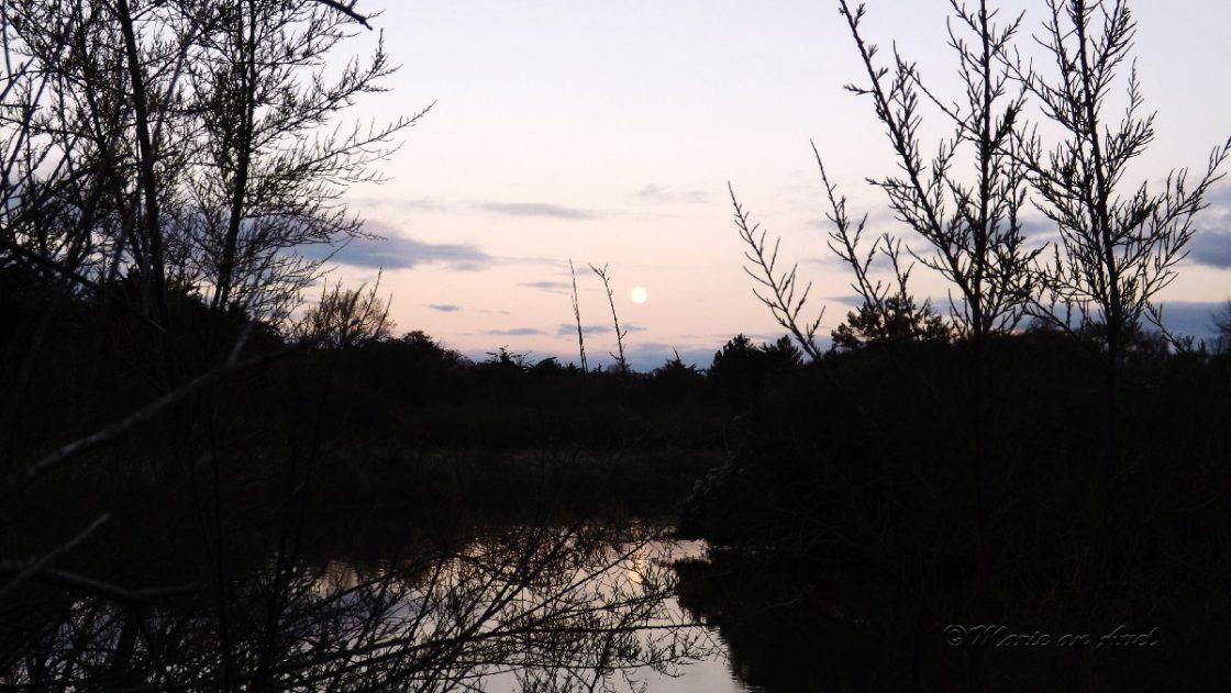 J’ai regardé le jour se parer de nuit…