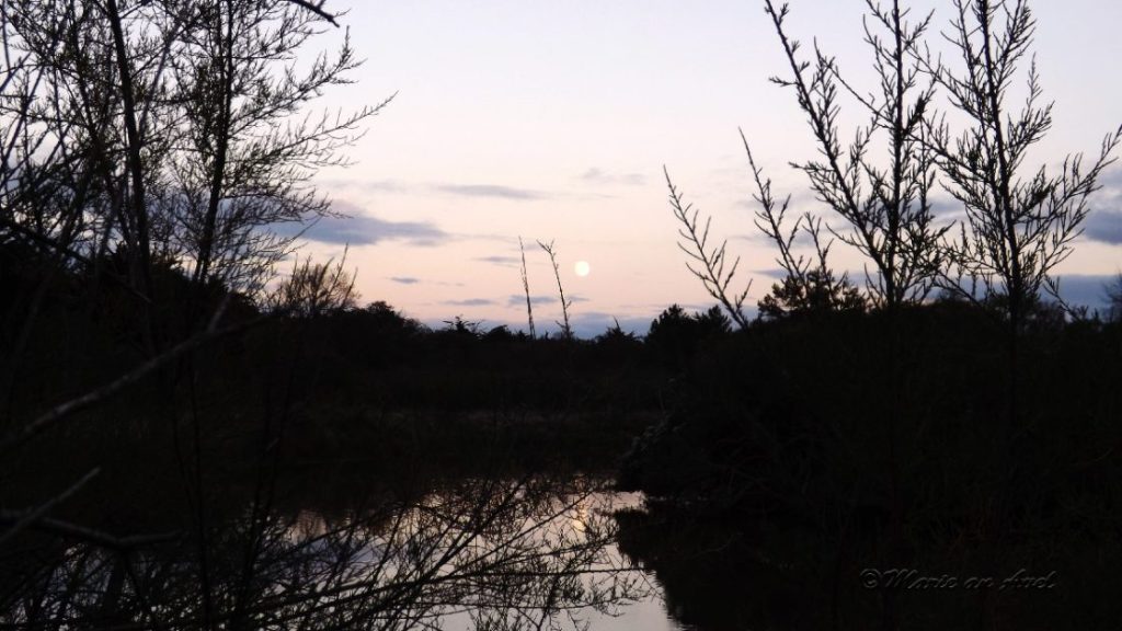 J’ai regardé le jour se parer de&nbsp;nuit…