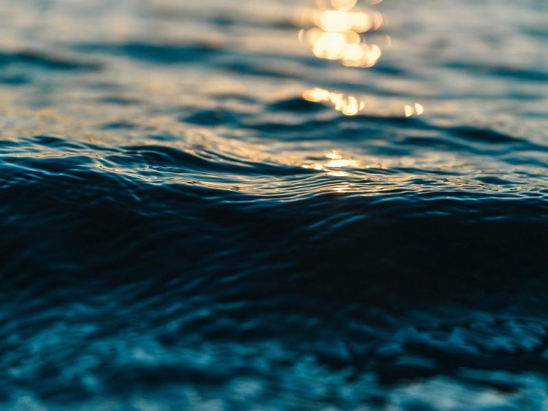 Né un 31 mai 1819, Walt Whitman était un grand&nbsp;poète