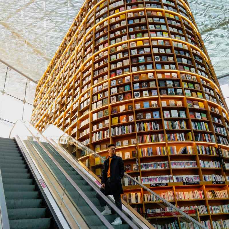 La place de l&rsquo;auteur dans les industries&nbsp;culturelles