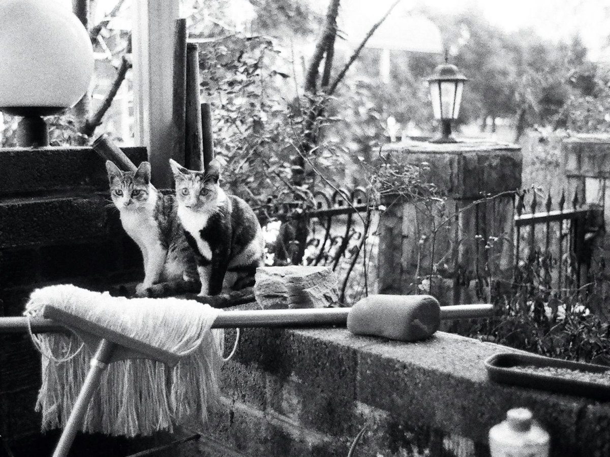 Les Invasions quotidiennes