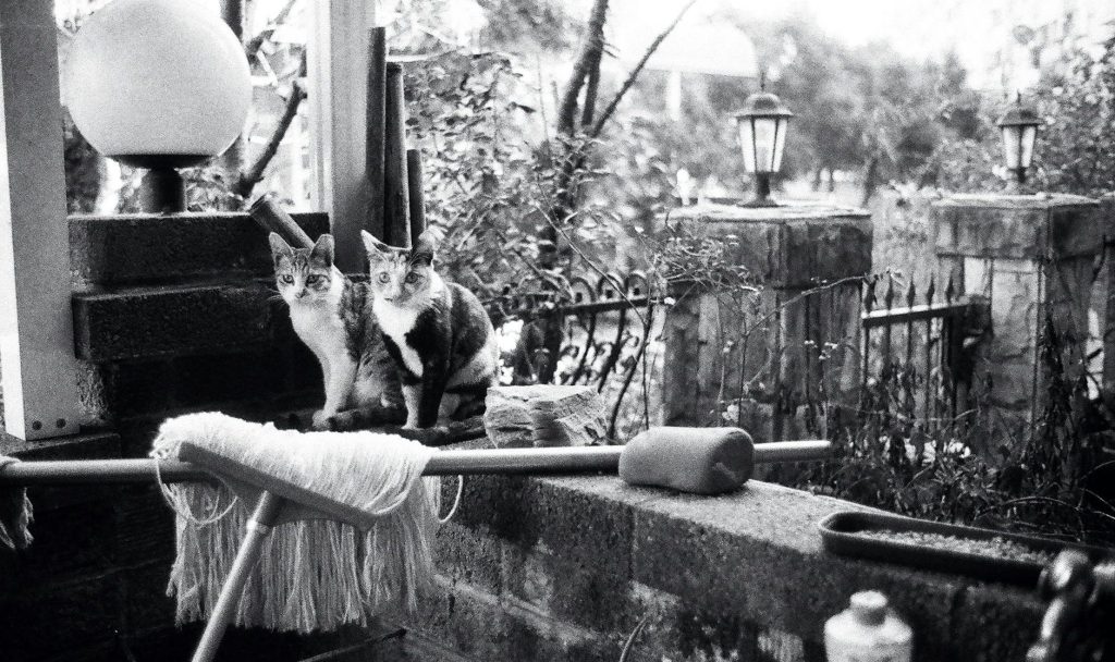 Les Invasions quotidiennes