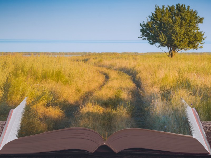 Il y a autre&nbsp;chose