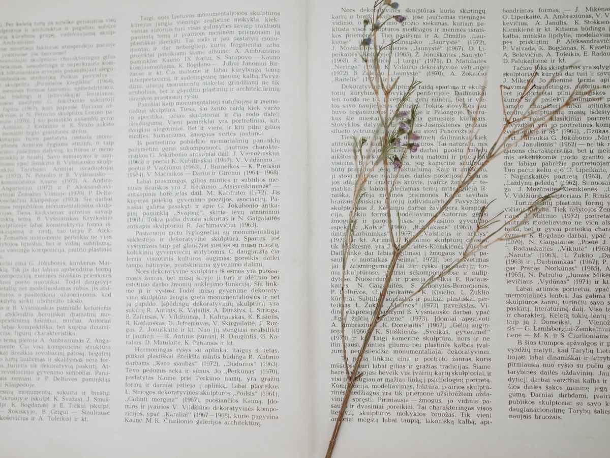 Du texte à&nbsp;l&rsquo;image