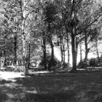 Insulaires – Exposition de&nbsp;l&rsquo;été
