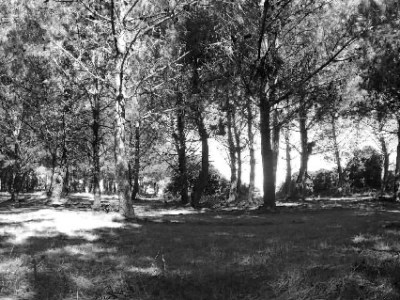 Insulaires – Exposition de&nbsp;l&rsquo;été