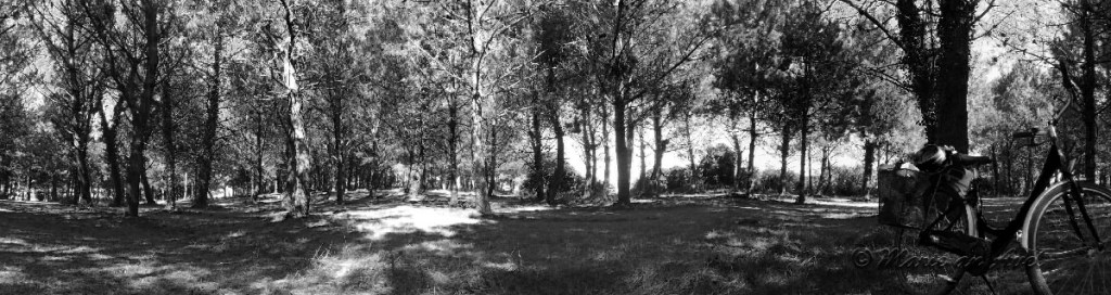Insulaires – Exposition de&nbsp;l&rsquo;été