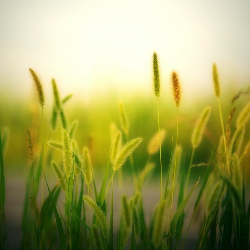 Joli mois de&nbsp;mai