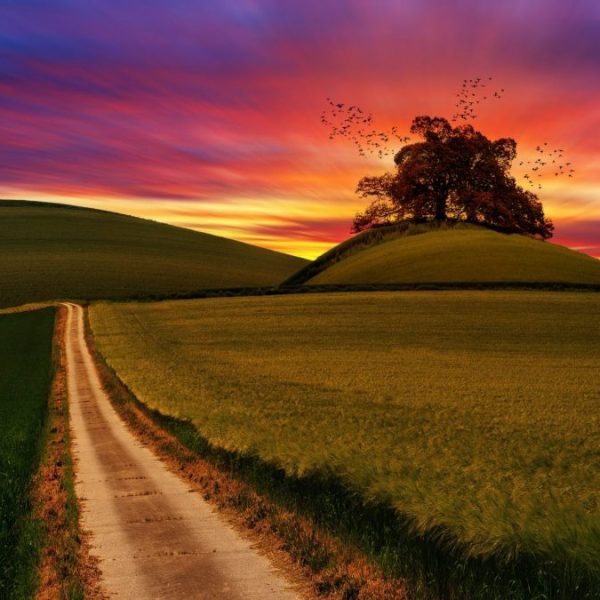 Beltaine, la lumineuse