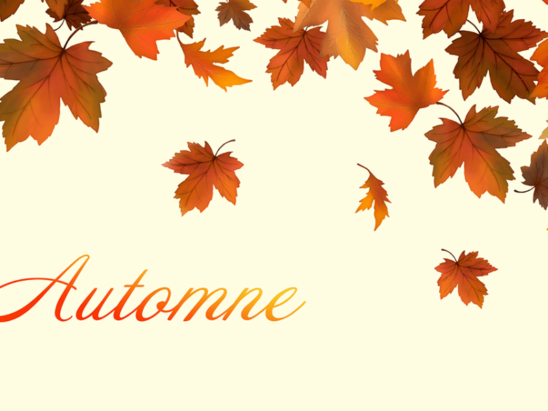 Que faire en novembre&nbsp;?