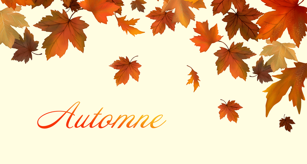 Que faire en novembre&nbsp;?