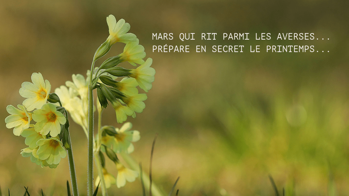Entre les giboulées