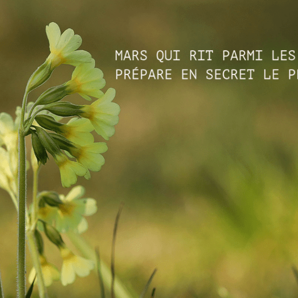 Entre les giboulées