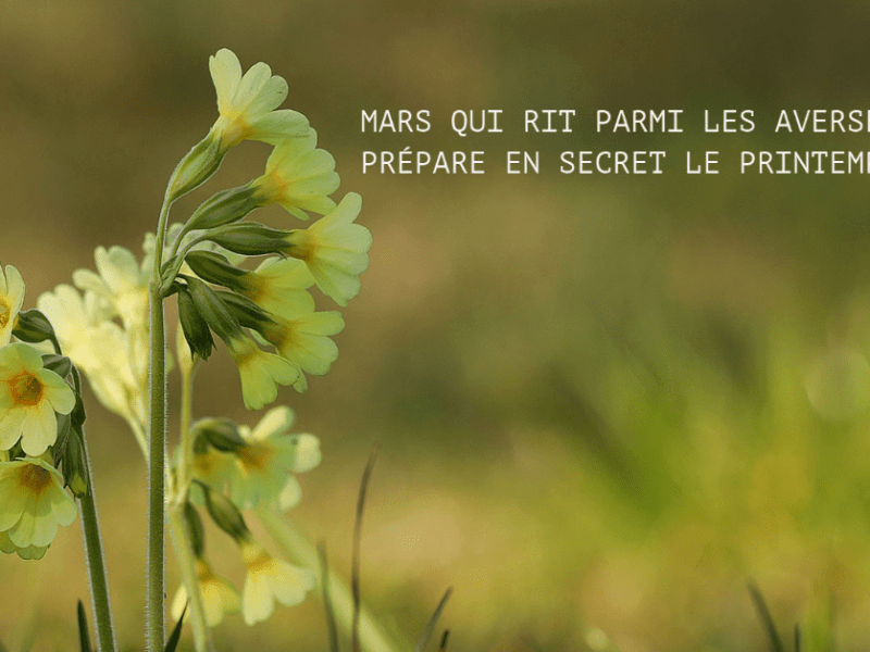 Entre les giboulées