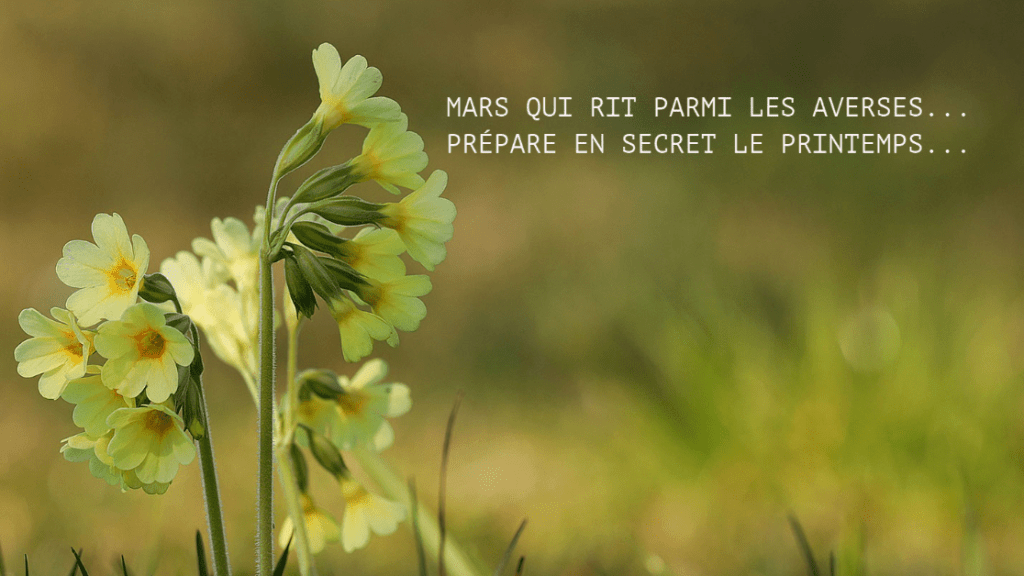 Entre les giboulées