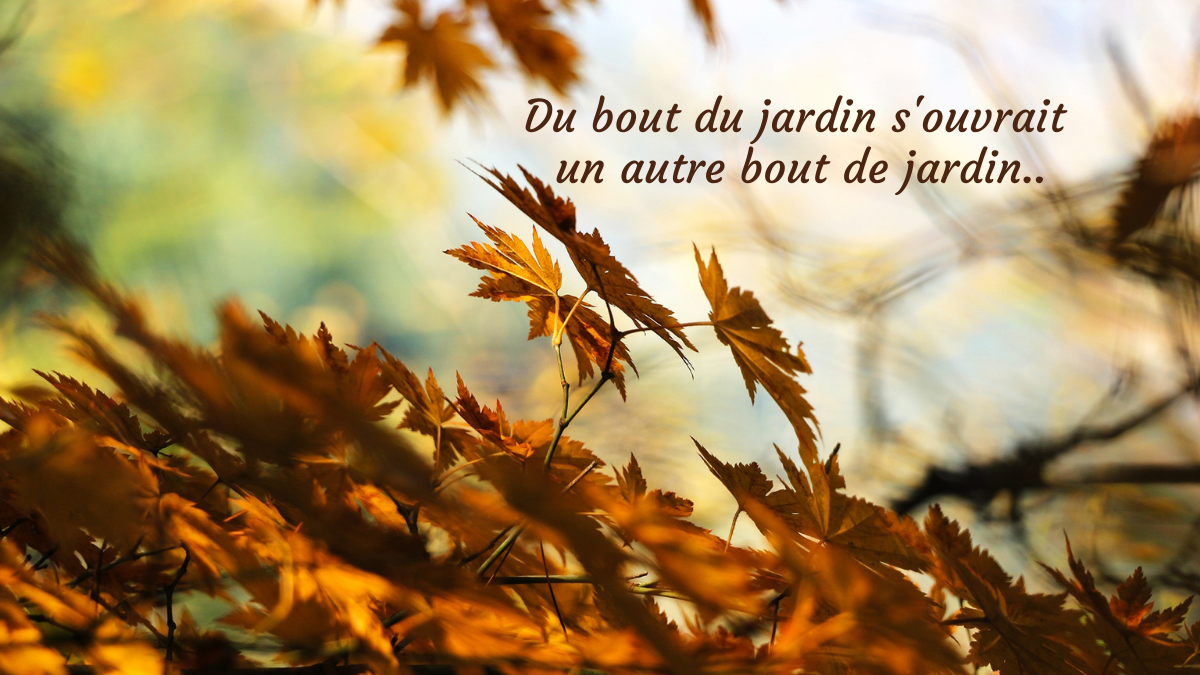 Bonjour Automne !