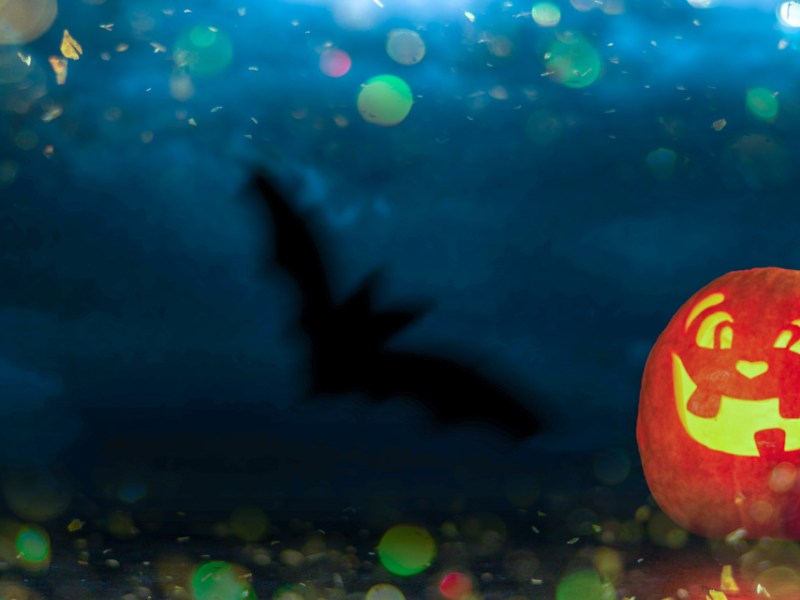 Au rendez-vous des&nbsp;sorcières