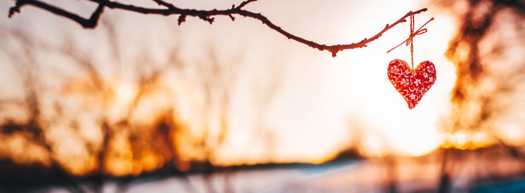 L&rsquo;étincelle d&rsquo;un bourgeon