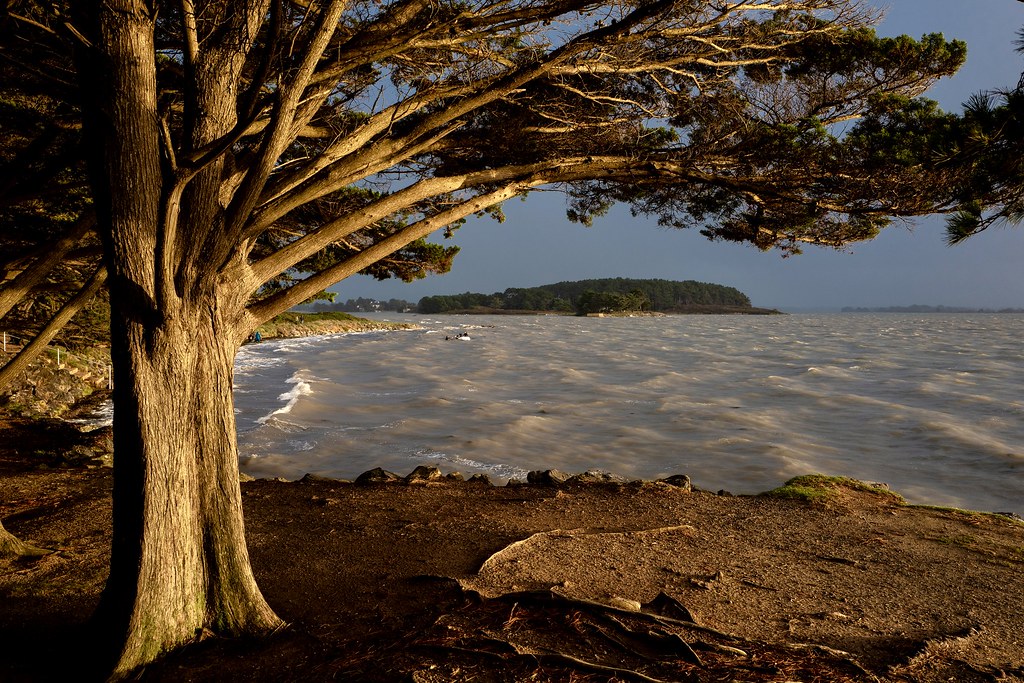 Les déambulations d&rsquo;Archibald Appelton