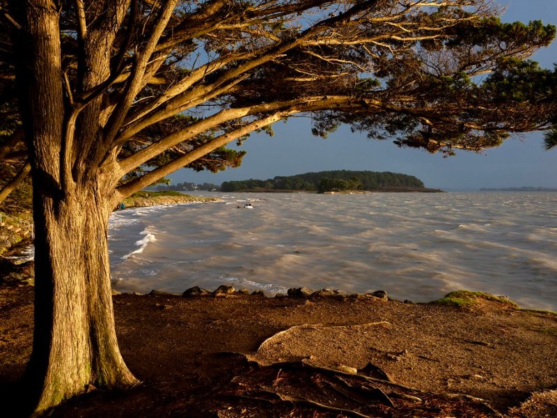 Les déambulations d&rsquo;Archibald Appelton